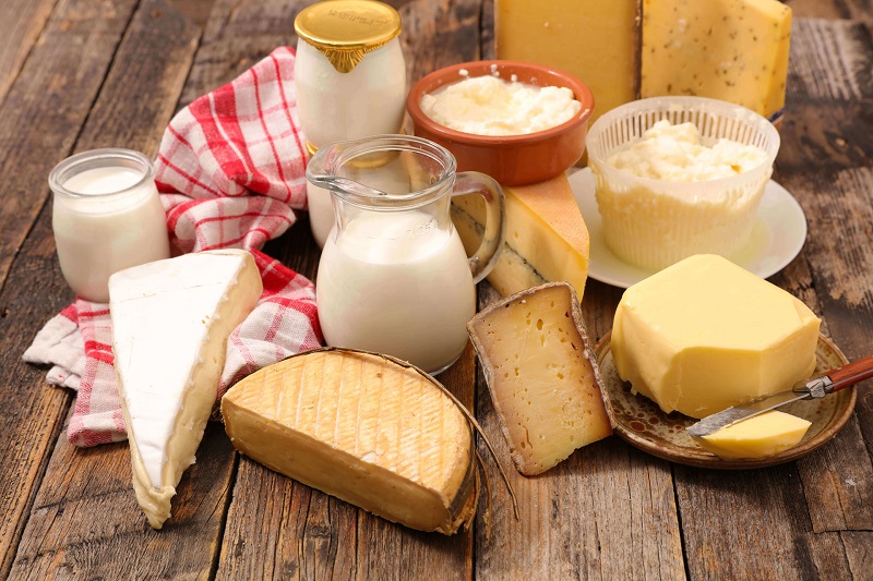Sữa và các chế phẩm từ sữa là nguồn cung cấp DHA dồi dào cho cơ thể con người