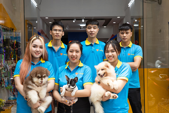 Top 10 shop mua bán chó cảnh giá rẻ uy tín nhất TP.HCM - Top10uytin