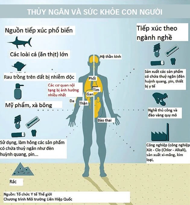 Nhiệt kế thủy ngân vỡ có nguy hiểm không? Đối xử như thế nào?