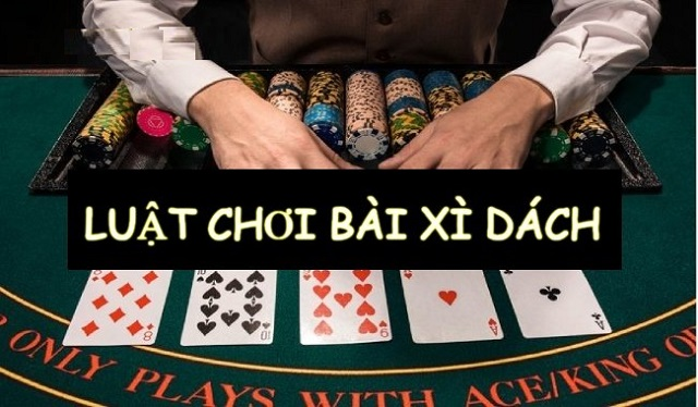 Cái nào lớn hơn, Poker hay Blackjack? Hỏi đáp - Thành phố Tripoli