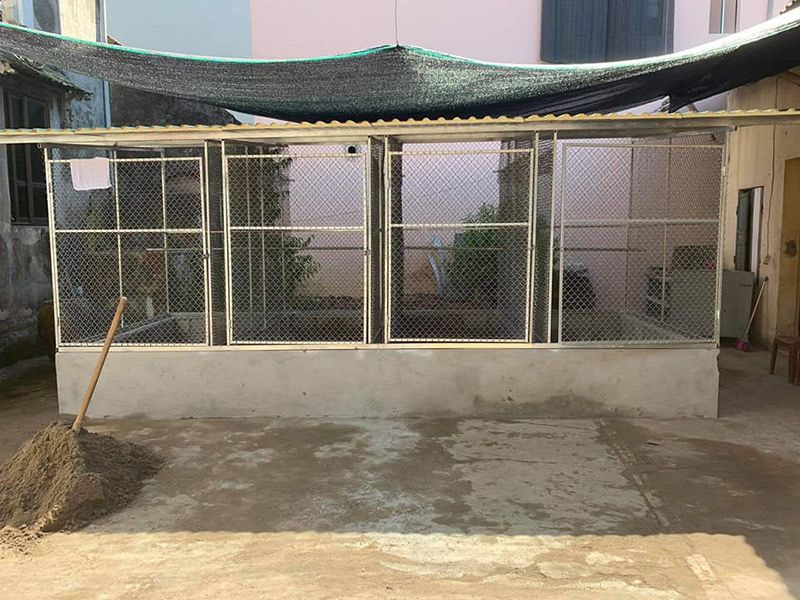Cách làm chuồng gà diện tích nhỏ tiện lợi đơn giản Tháng Tư 2024 Gà Ta Tường Vy